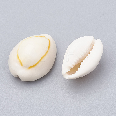 Cowrie Shell Beads SSHEL-T004-06-1