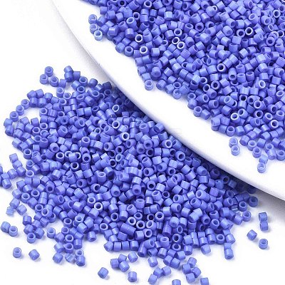 FGB 11/0 Grade A Glass Seed Beads SEED-S030-1010-1