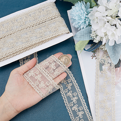 Polyester Hollow Embroidered Lace Trim OCOR-WH0079-13A-1