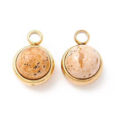 Natural Picture Jasper Charms G-K325-01G-06-1
