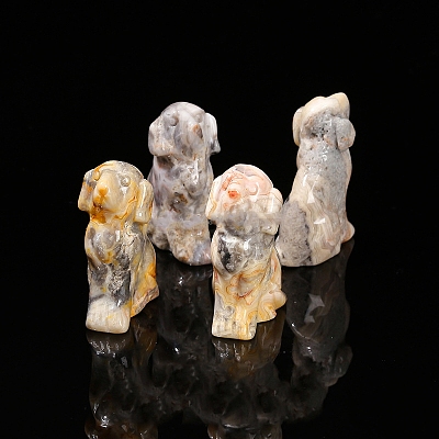 Natural Crazy Agate Display Decorations PW-WG57B80-04-1