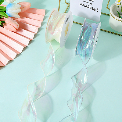 2 Rolls 2 Colors Polyester Organza Ribbon PAAG-CY0001-02-1