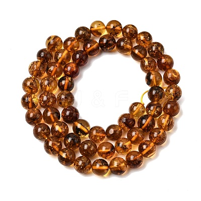 Natural Amber Beads Strands G-K376-H02-01-1