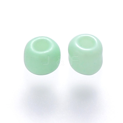 6/0 Baking Paint Glass Round Seed Beads SEED-S036-01C-02-1