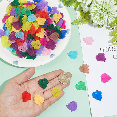 240Pcs 12 Colors Autumn Theme Transparent Frosted Acrylic Pendants MACR-PH0002-14-1