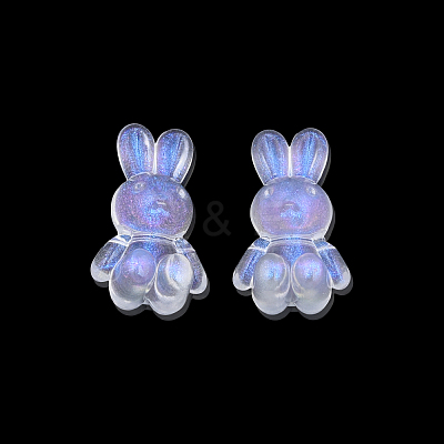 Transparent Acrylic Beads OACR-N008-172F-1
