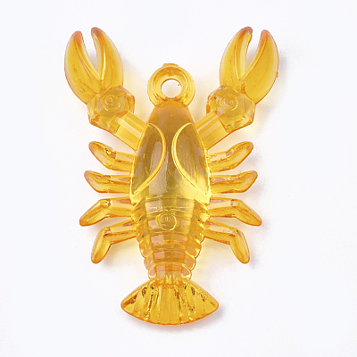 Transparent Acrylic Pendants TACR-S149-02-1