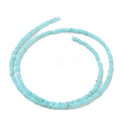 Natural Freshwater Shell Beads Strands SHEL-P017-01A-03-1
