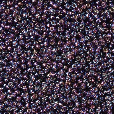 MIYUKI Round Rocailles Beads X-SEED-G007-RR1013-1