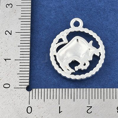 Twelve Constellations Alloy Pendants PALLOY-Q006-01I-S-1