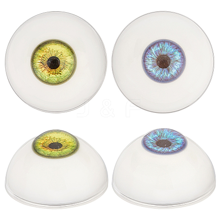   4Pcs 2 Colors Resin Craft Eyes DIY-PH0013-66-1