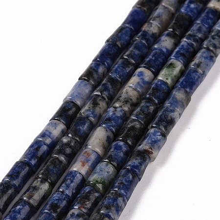 Natural Blue Spot Jasper Beads Strands G-G990-C12-1