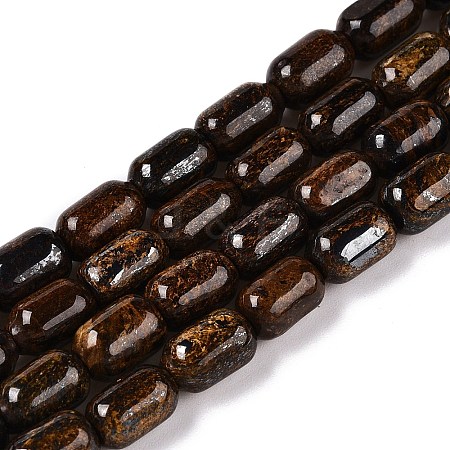 Natural Bronzite Beads Strands G-G980-42A-1