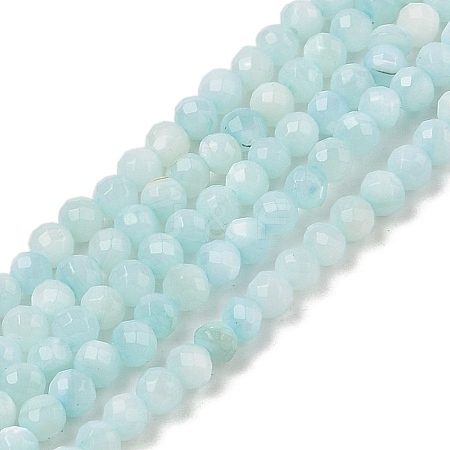 Natural Freshwater Shell Dyed Beads Strands SHEL-R100-12A-02-1