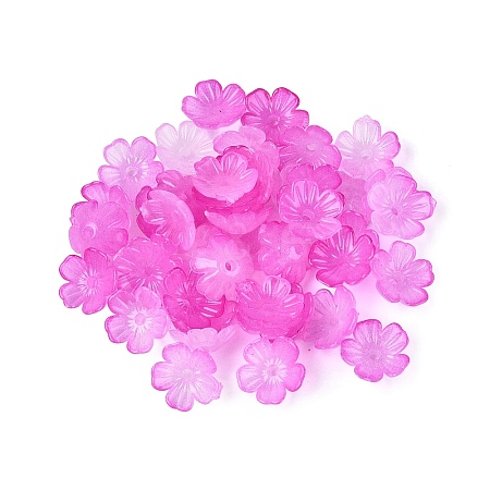 Transparent Plastic Bead Caps KY-Q005-02A-09-1