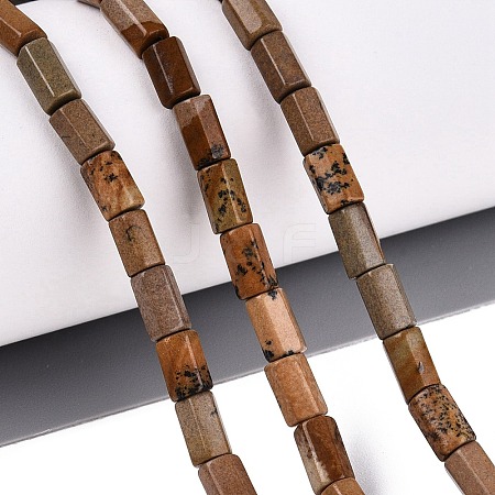 Natural Picture Jasper Beads Strands GG-N002-01A-13-1