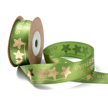 Polyester Ribbon SRIB-P018-B01-1