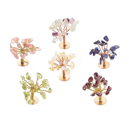 Natural Gemstone Chips Display Decorations G-Z016-13-1