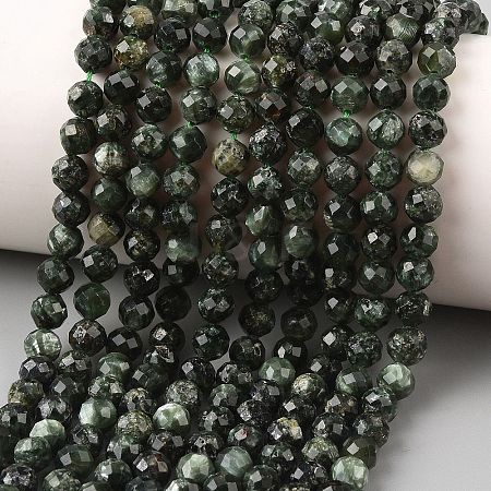 Natural Seraphinite Beads Strands G-K376-A02-5mm-1