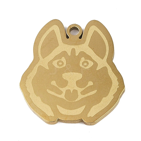 201 Stainless Steel Pendants STAS-C095-41G-1