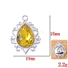 Glass Rhinestone Pendants FIND-WH0021-91S-020-1