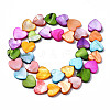 Natural Freshwater Shell Beads Strands X-SHEL-S278-024B-2