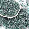 Transparent Inside Colours Glass Seed Beads X1-SEED-A032-04W-1