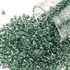 TOHO Round Seed Beads SEED-TR08-1070-1