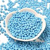 Baking Paint Glass Seed Beads X1-SEED-B001-02A-12-2