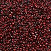 MIYUKI Round Rocailles Beads SEED-G008-RR4521-2