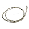 Natural Labradorite Beads Strands G-C084-D13-02-3