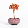 Natural Carnelian Chips Tree Display Decorations PW23051677266-1