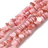 Natural Freshwater Shell Beads SHEL-B003-01N-1