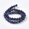 Natural Sodalite Beads Strands G-E110-8mm-3-2