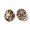 Assembled Synthetic Bronzite and Peridot Cabochons G-D0006-G01-01-2