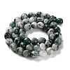 Natural Tree Agate Beads Strands G-NH0035-01-3