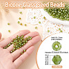 Picasso Baking Paint Glass Seed Beads SEED-TA0001-62E-3