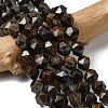 Natural Bronzite Beads Strands G-Z119-A30-03-1