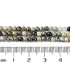 Natural Silver Leaf Jasper Beads Strands G-K365-C05-01-5