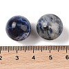 Natural Sodalite No Hole Sphere Beads G-K353-04D-08-3