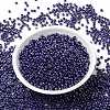 MIYUKI Round Rocailles Beads X-SEED-G008-RR0434-2