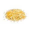 Plastic Sequins Beads PVC-R024-06A-2