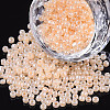 (Repacking Service Available) Glass Seed Beads SEED-C020-4mm-147-1