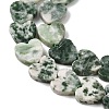 Natural Green Spot Jasper  Beads Strands G-M403-A22-03-4