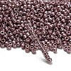 TOHO 8/0 Round Beads SEED-TR08-0133-3