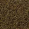 MIYUKI Round Rocailles Beads X-SEED-G009-RR0311-2