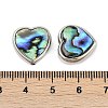 Natural Paua Shell Beads SSHEL-M024-03D-P-3