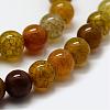 Natural Dragon Veins Agate Beads Strands G-F417-03-6mm-3