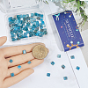 2 Strands Natural Apatite Beads Strands G-SC0003-71-3