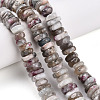 Natural Plum Blossom Tourmaline Beads Strands G-T141-29-1